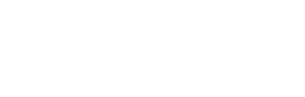 a black and white logo for ragoon with a raccoon on it .