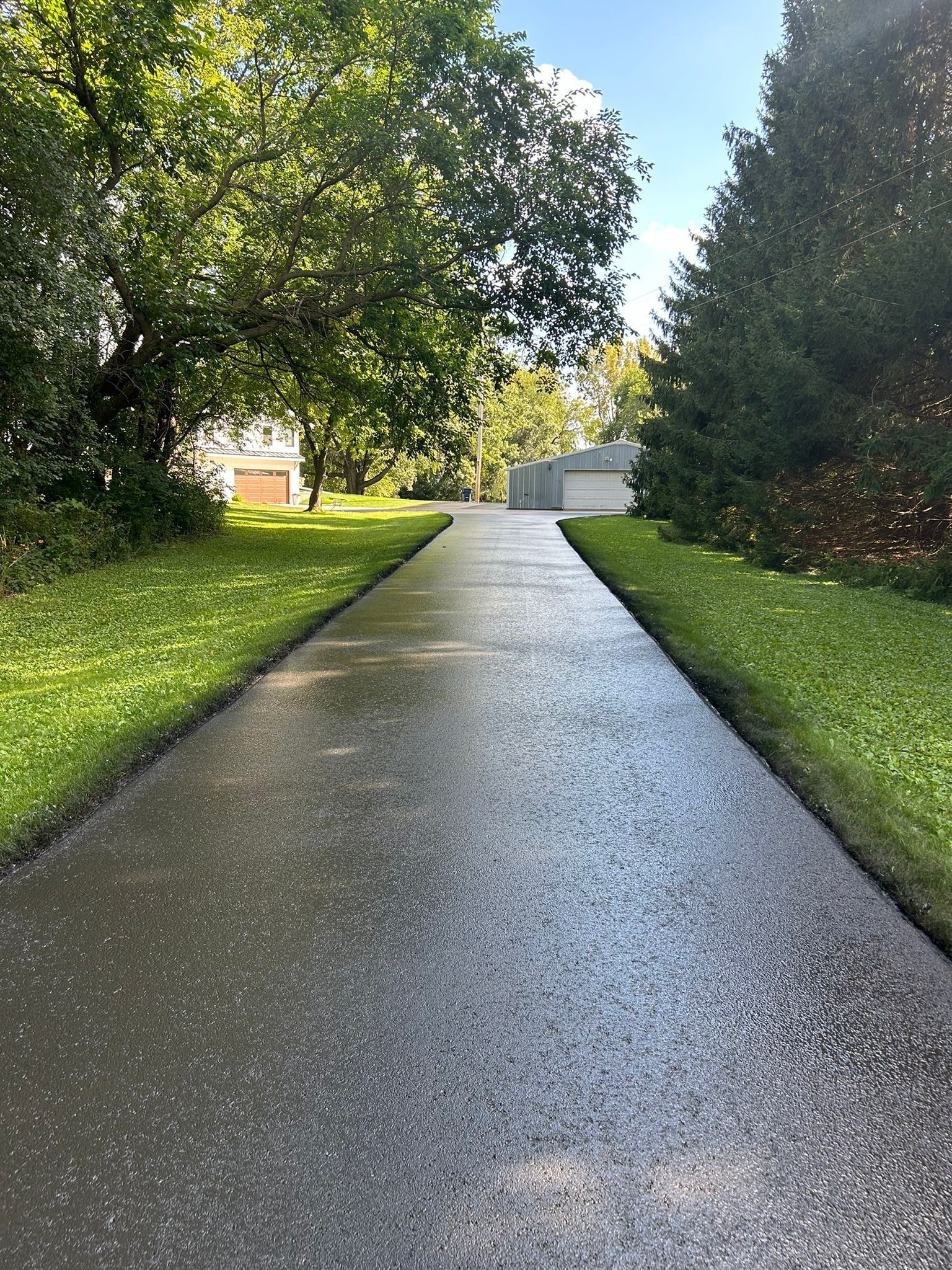 Paved pathway through green lawns and trees, leading to a building in the distance.
