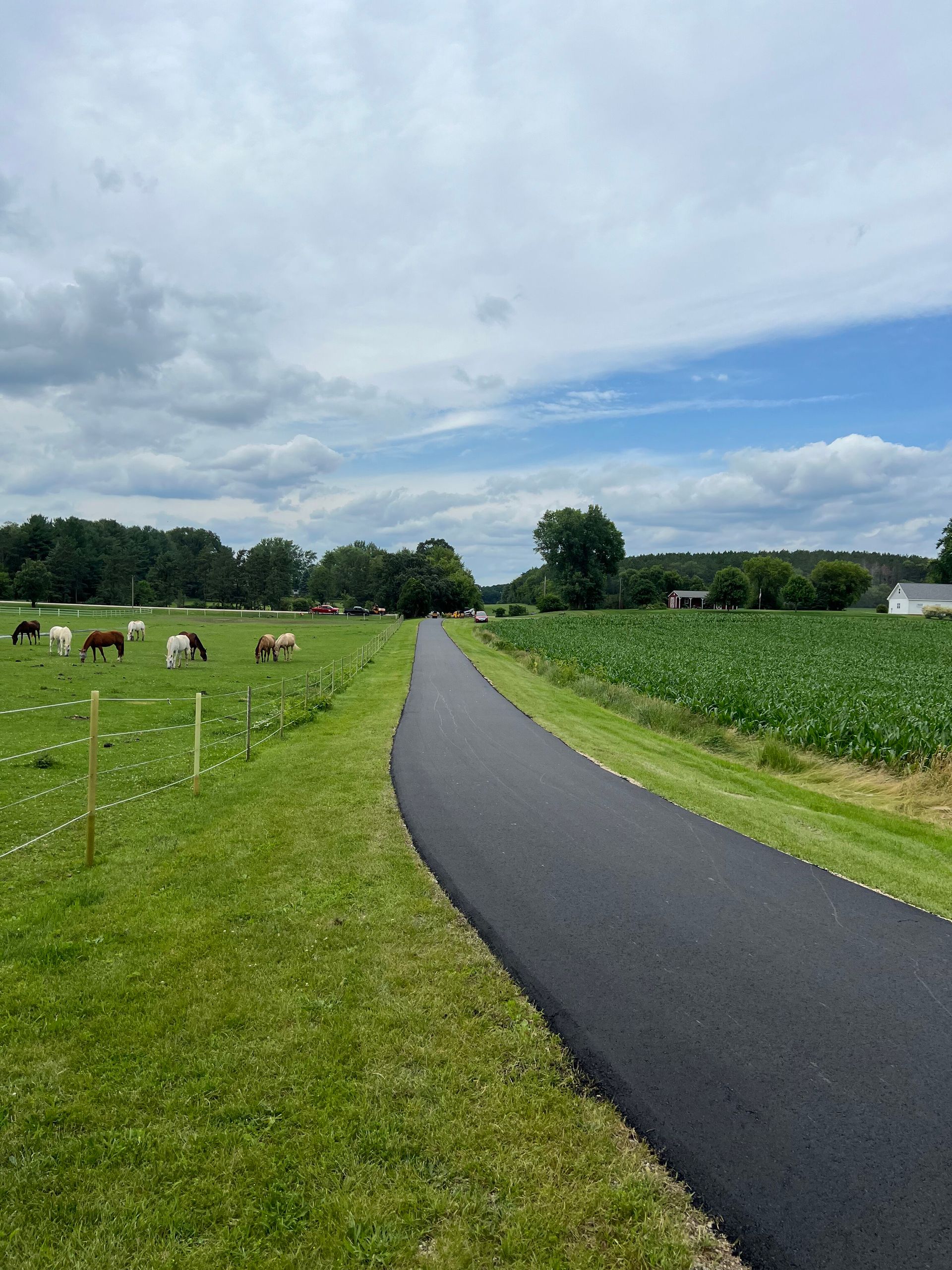 Paved pathway through green fields with grazing horses on the left and crops on the right under a cloudy sky.