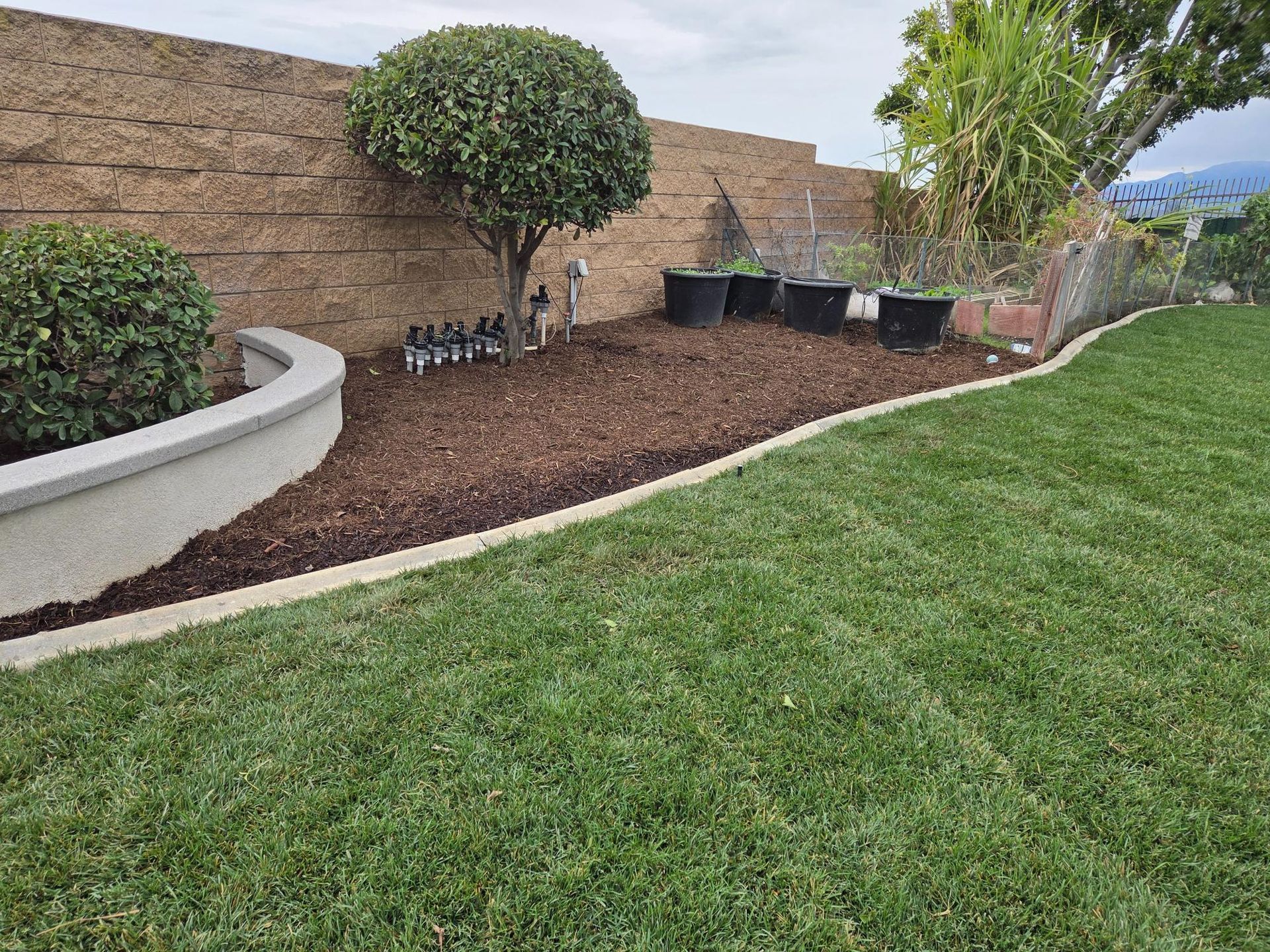 Lawn and garden bed with dark mulch, pots, and a tree against a textured retaining wall.