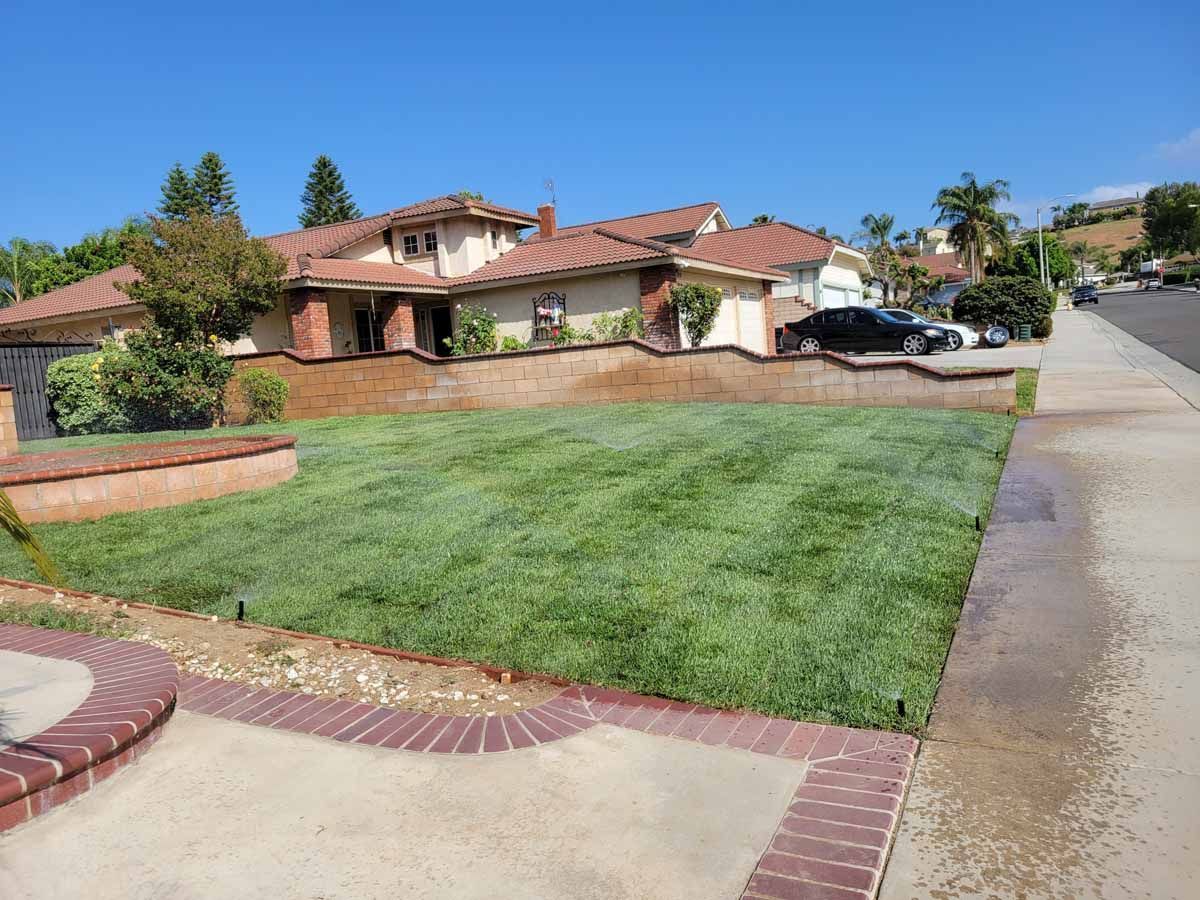 Well-manicured lawn in front of a multi-story house with a brick wall. Sunny day.