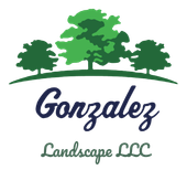 Logo: Green trees with