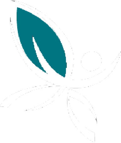 The Pregnancy Centers