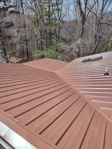 A high-angle view of a brown metal roof with visible ridges, set against a background of bare trees in a forest.