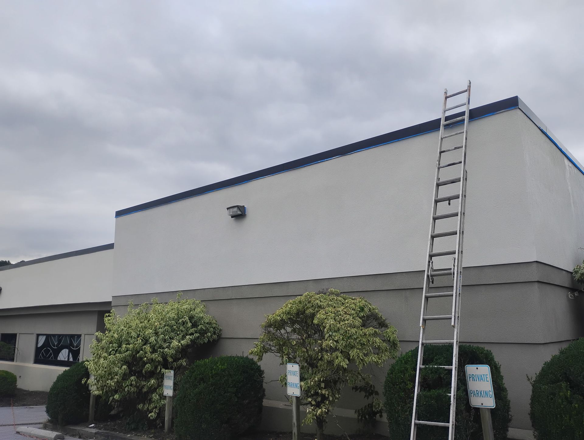 An aluminum extension ladder leans against the exterior wall of a white and grey commercial building near several bushes.