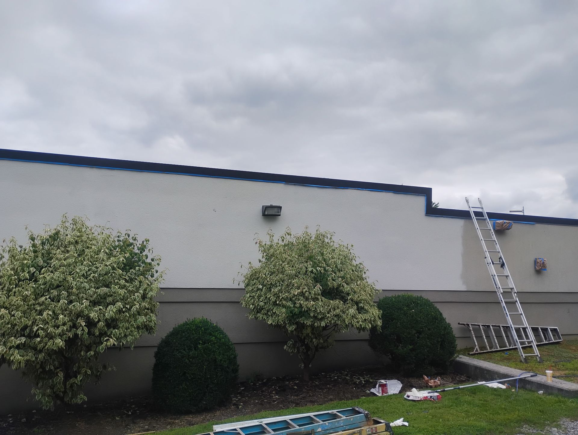 An extension ladder leans against the exterior of a light-colored commercial building with three round shrubs in front.