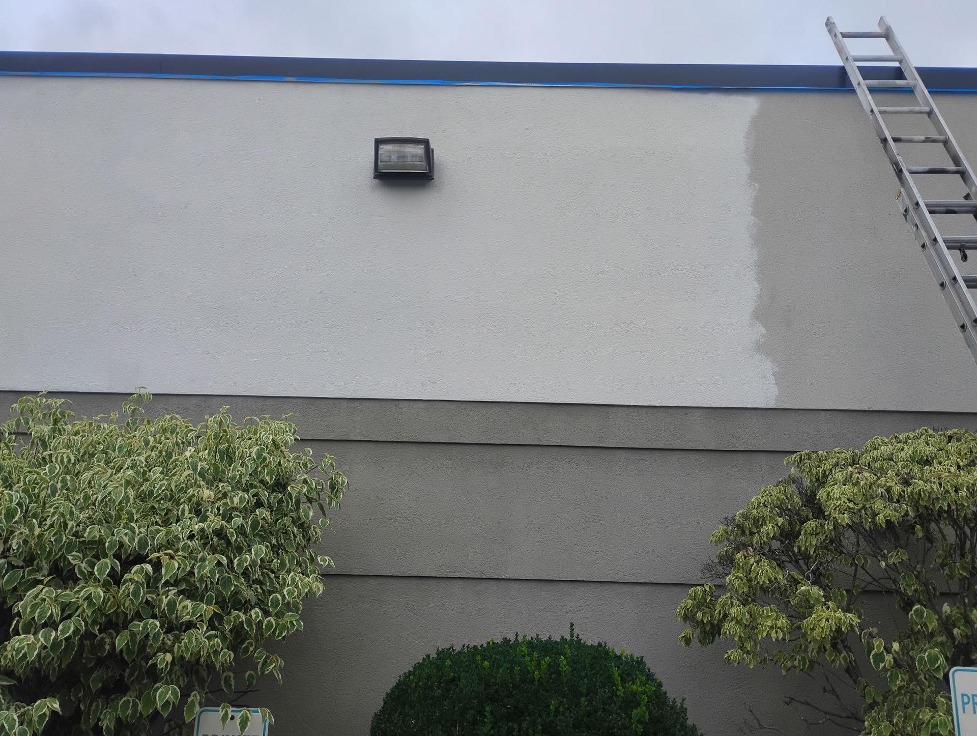 A ladder rests against a building wall, which is partially painted in a light color over a darker gray stucco texture.