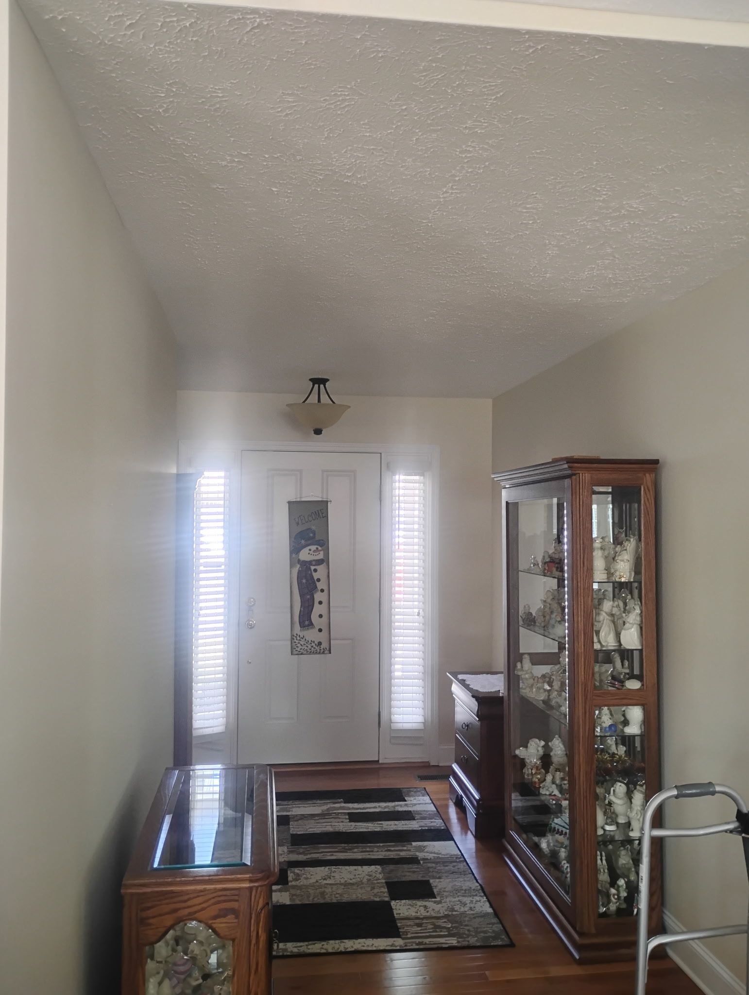 A bright entryway with hardwood floors, a patterned rug, a tall wooden curio cabinet, and a door with side windows.