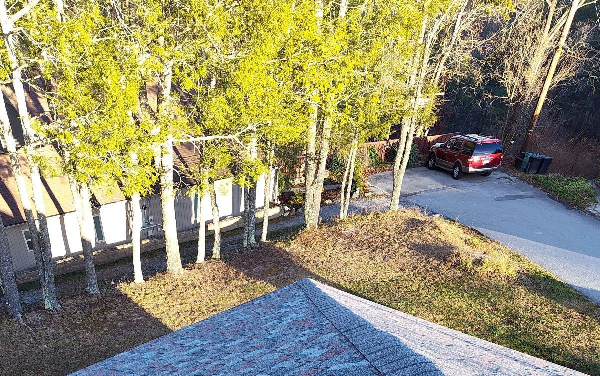 An elevated view looking down over a sloped yard with trees, a house, and a red car parked on a paved driveway.