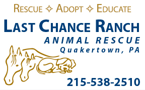 Last Chance Ranch logo