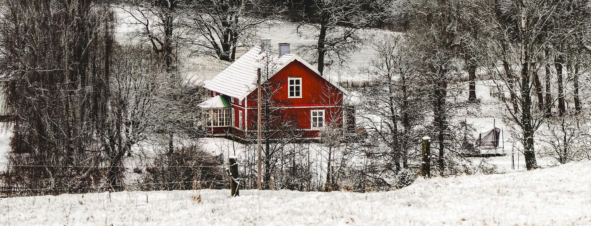 house in woods