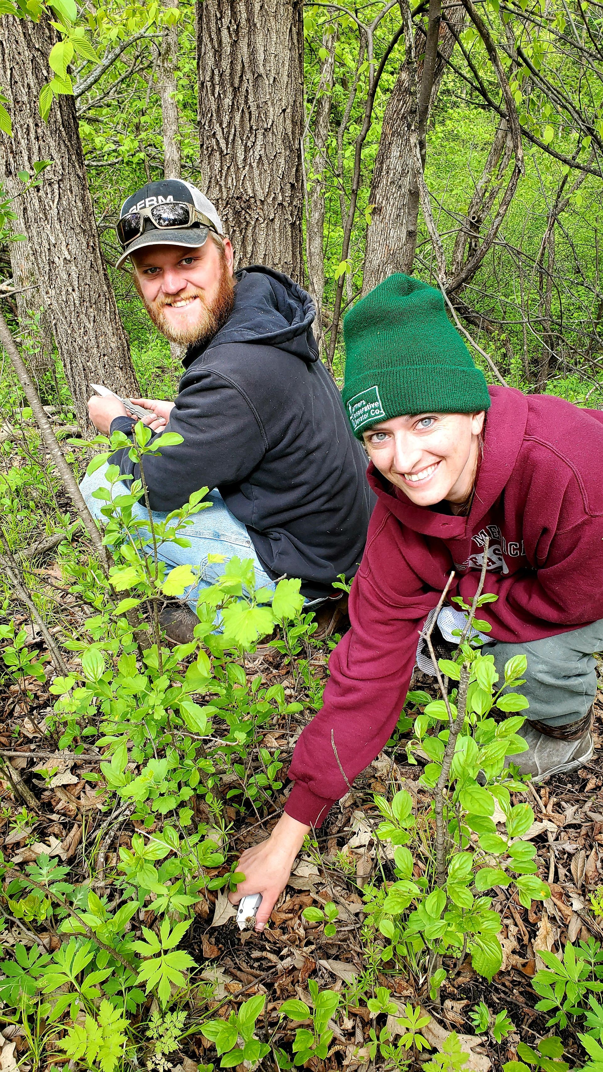 Two people crouching in a forest, smiling, examining plants and mushrooms.