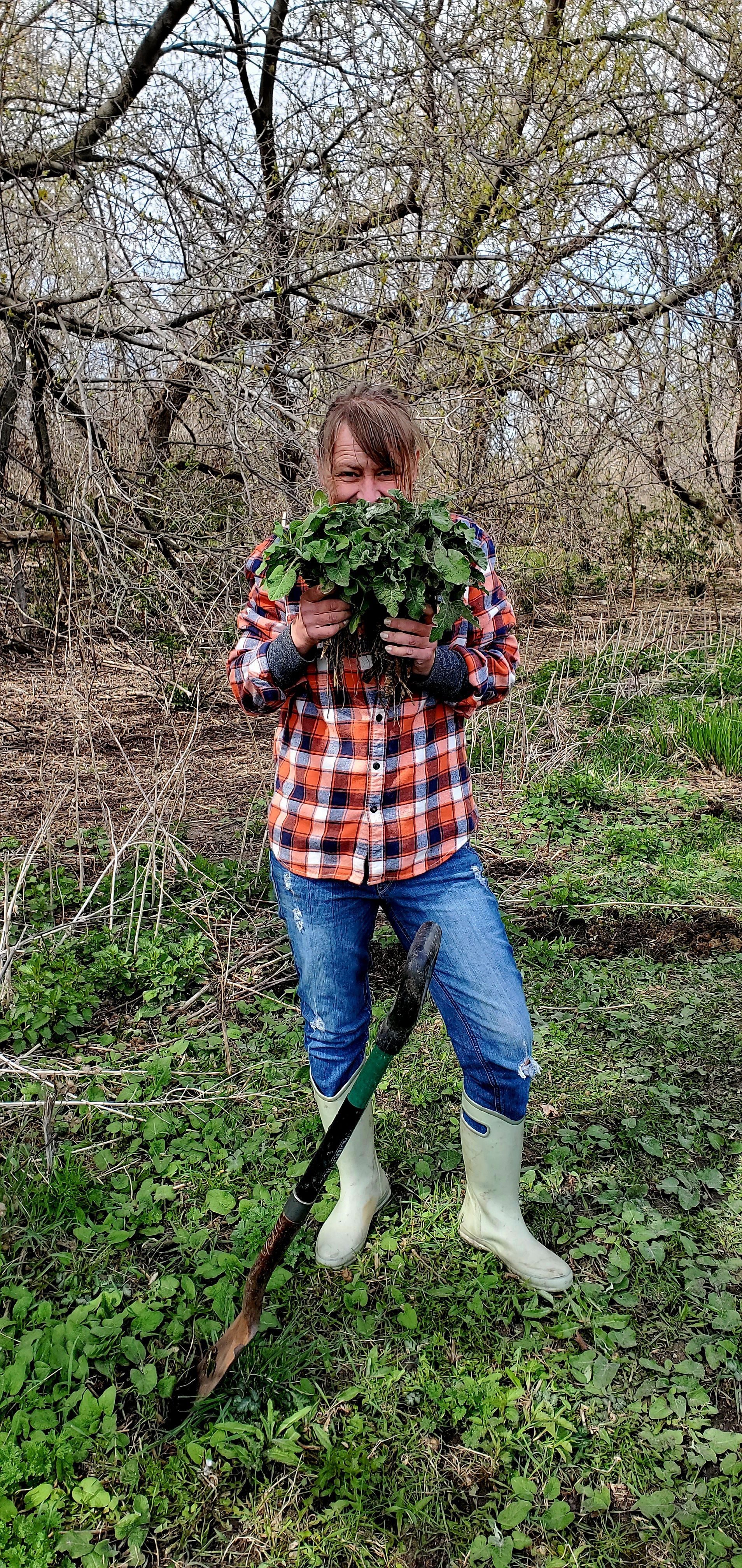 Person holding green plants in a forest, wearing plaid shirt, jeans, and boots, with a gardening tool.