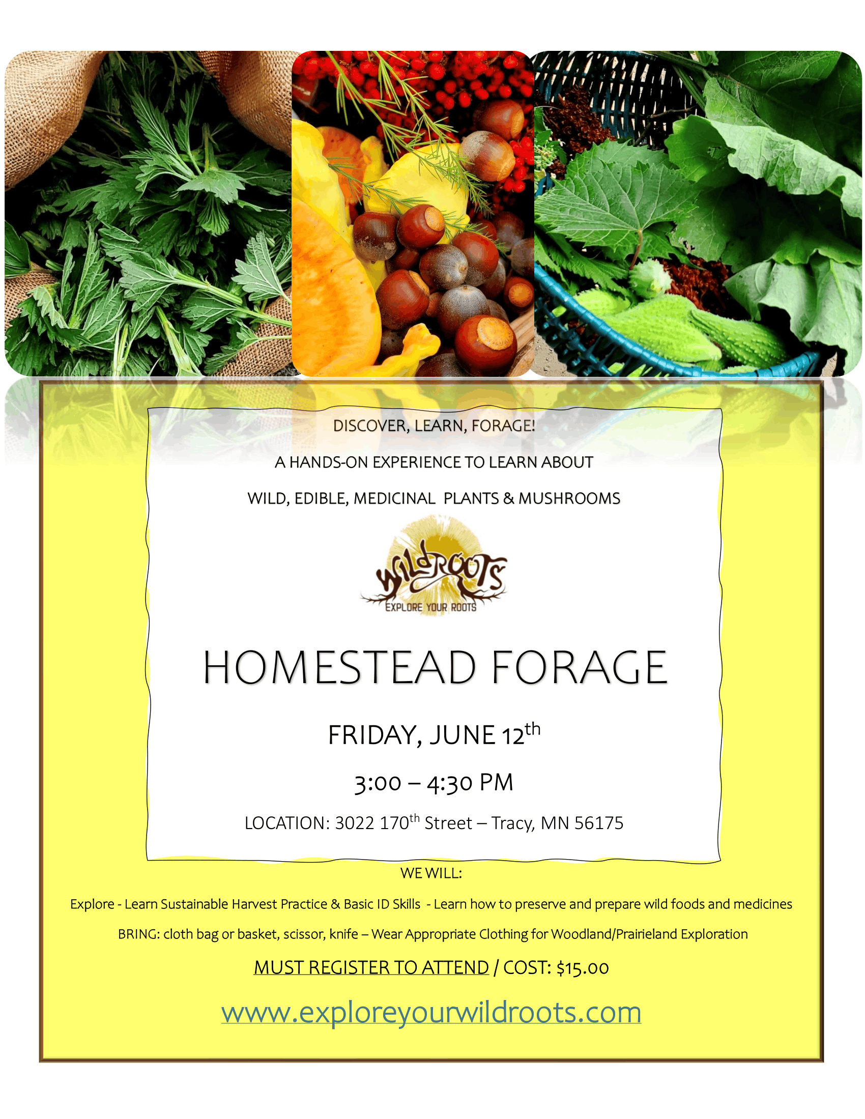 Homestead Forage flyer with leafy greens and produce photos on a bright yellow background.