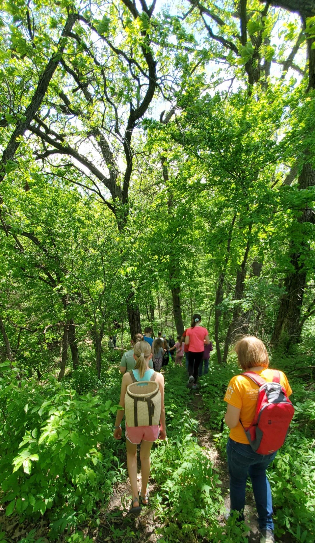 People hiking on a tree-lined path. Green foliage surrounds the trail; the sky is visible through the trees.
