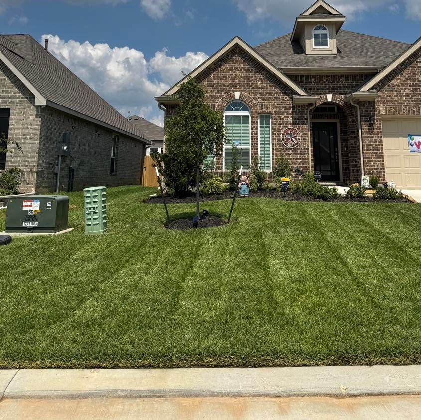 Brick suburban house with manicured green lawn and young tree by the sidewalk.