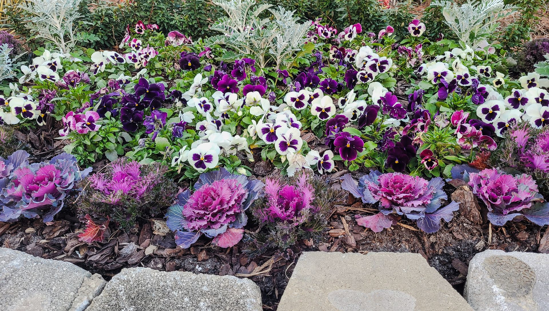 Colorful flower bed with purple, white, and pink blooms bordered by rocks and stone pavers