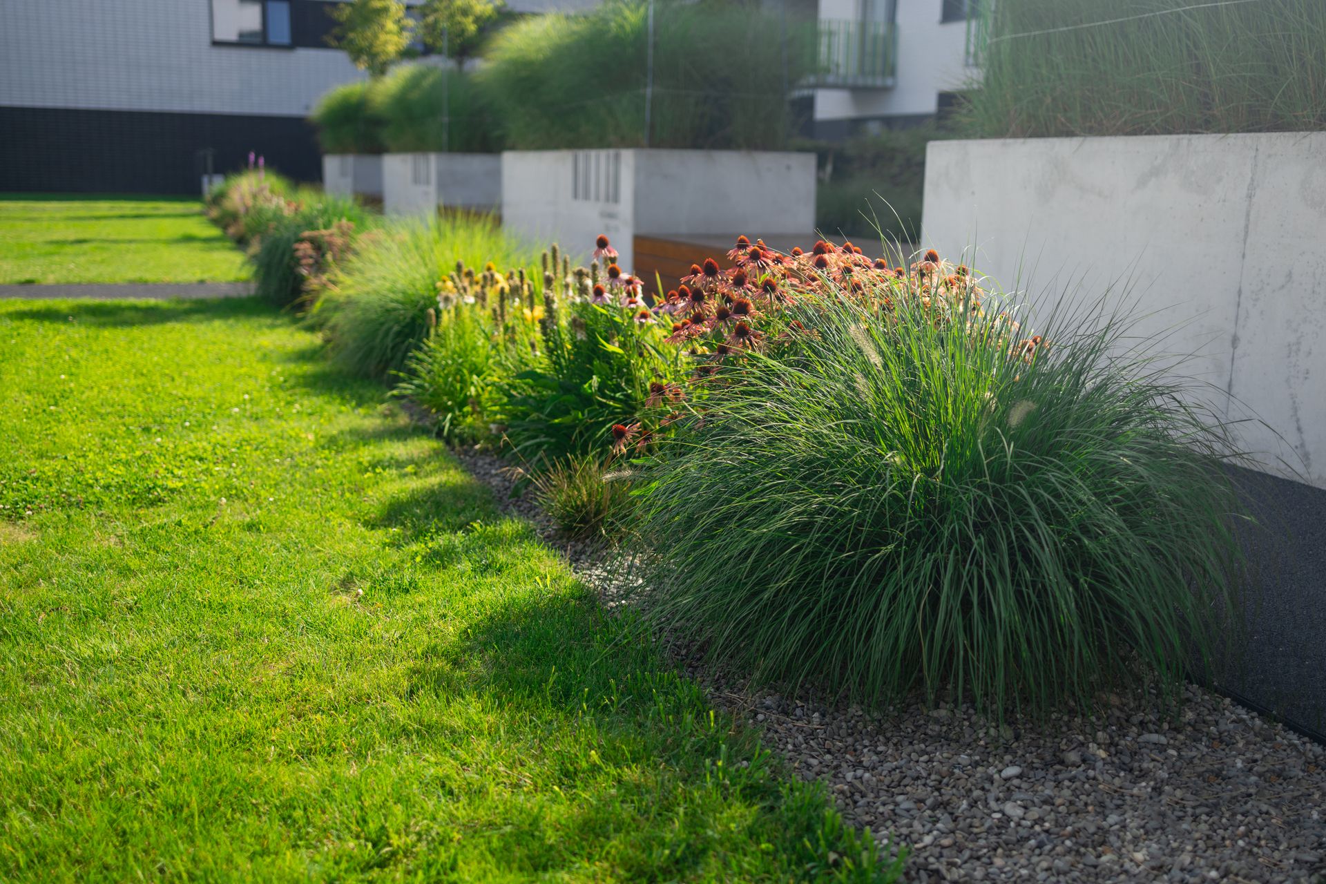 Residential garden bed with green grass and flowering plants along a white wall in sunlight