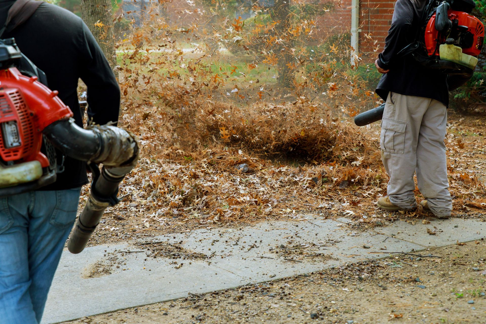 Workers using leaf blowers clear debris from a road edge in autumn.