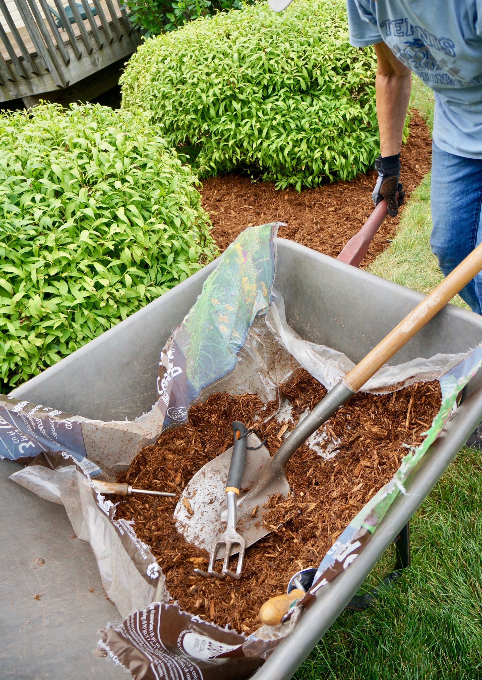 Person shoveling brown mulch into a gray wheelbarrow in a garden bed
