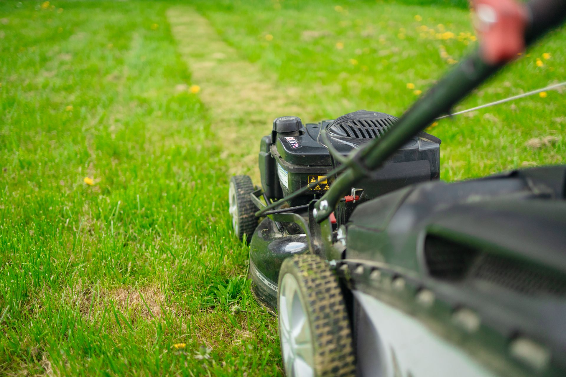 Person mowing a green lawn with a push mower, close-up from behind