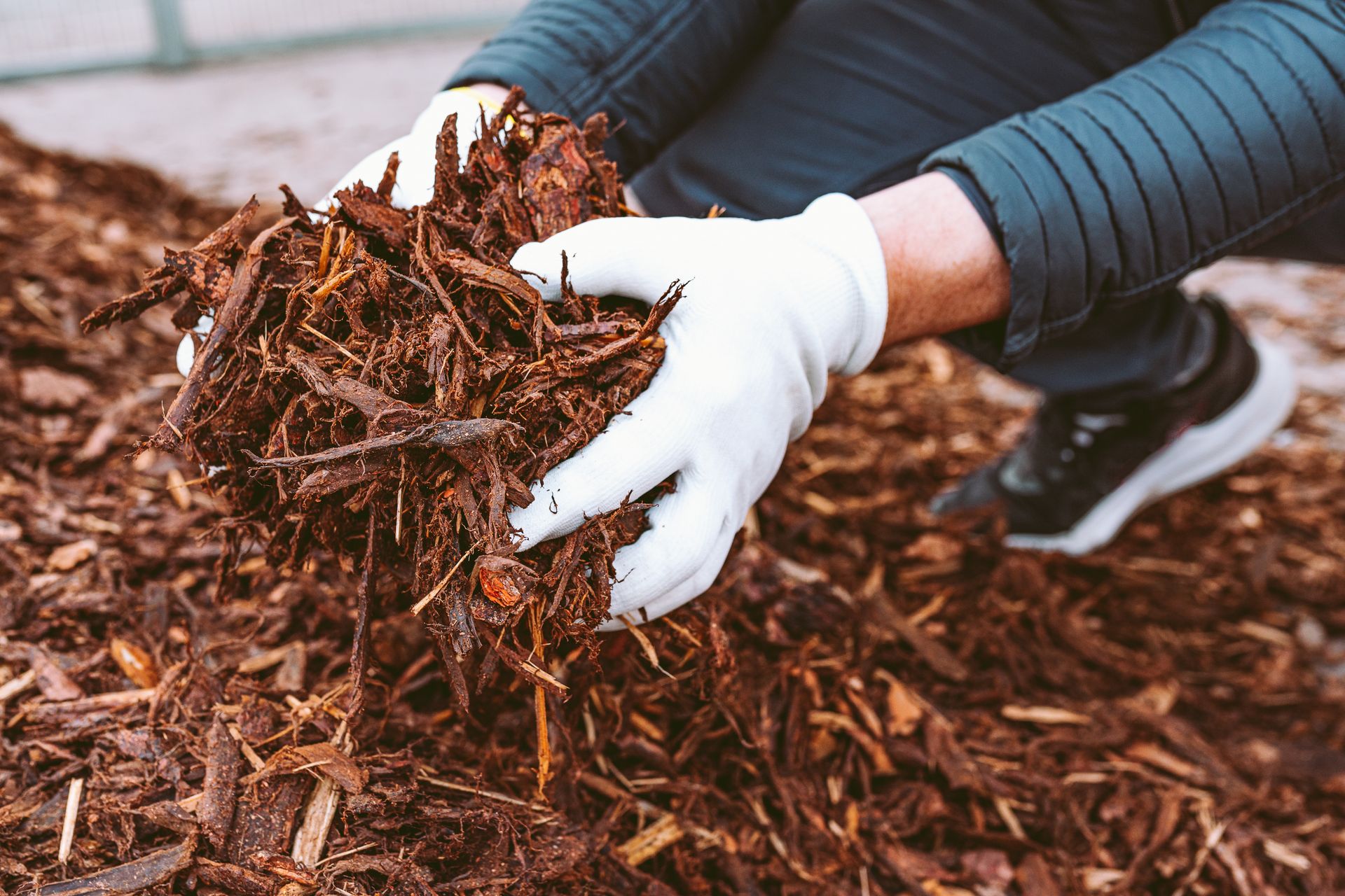 Gloved hands spreading brown mulch over a garden bed outdoors