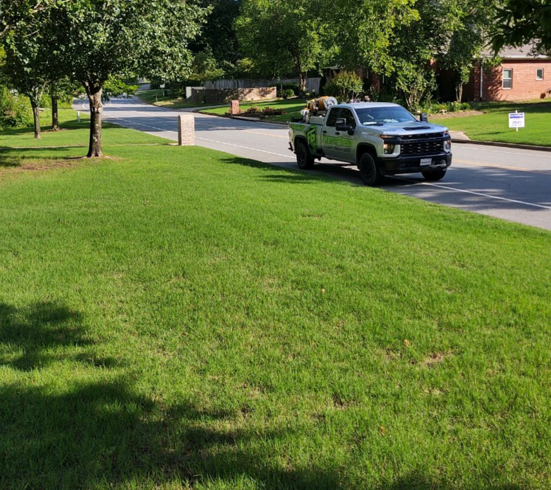 Green Grass in Hot Springs