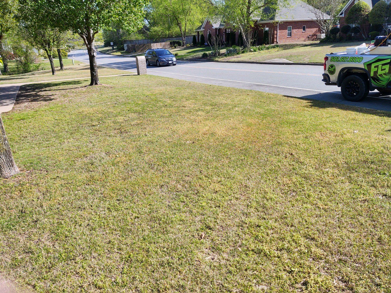 Dead Grass in Hot Springs