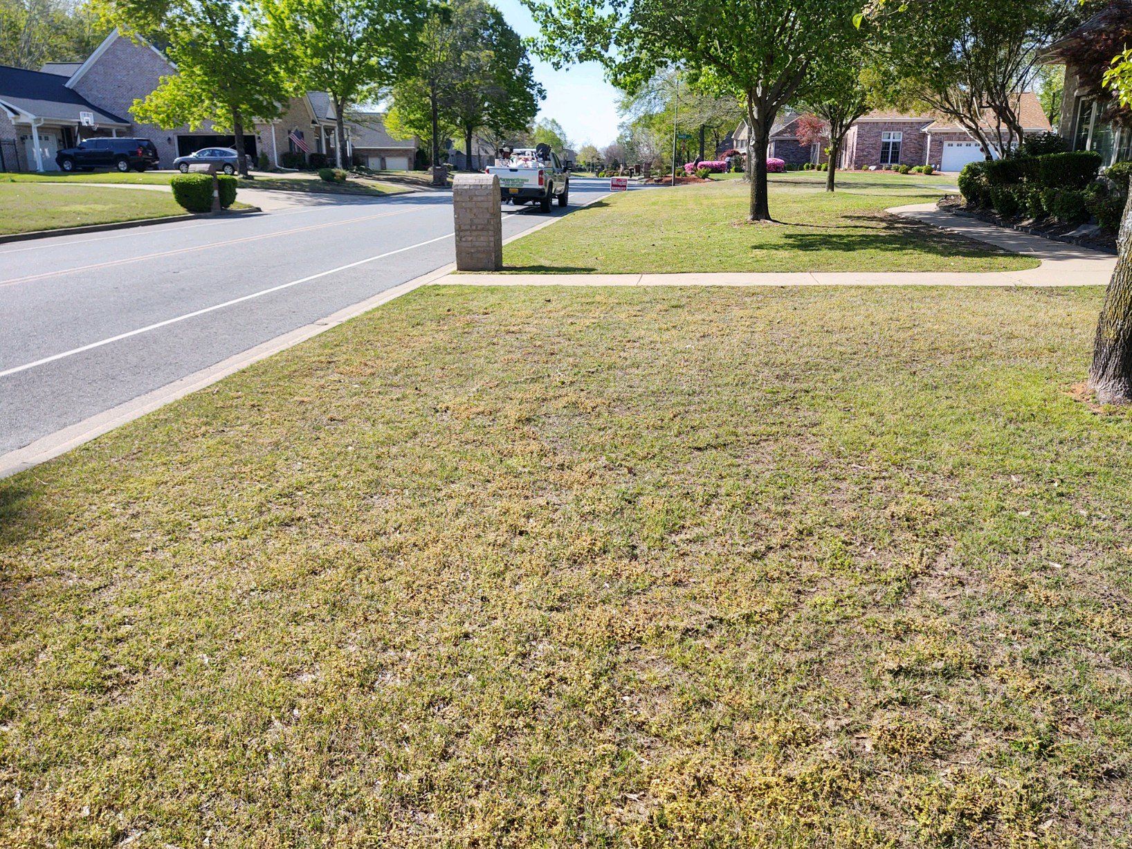 Brown Grass in Hot Springs