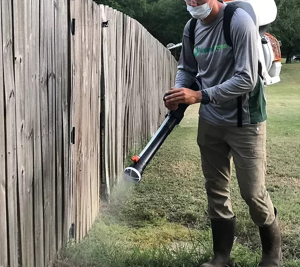 Picture of mosquito control in Hot springs, AR