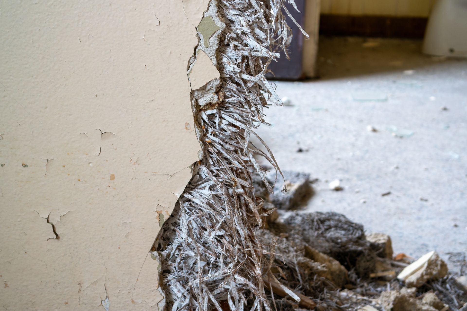 Mold remediation inspections NYC