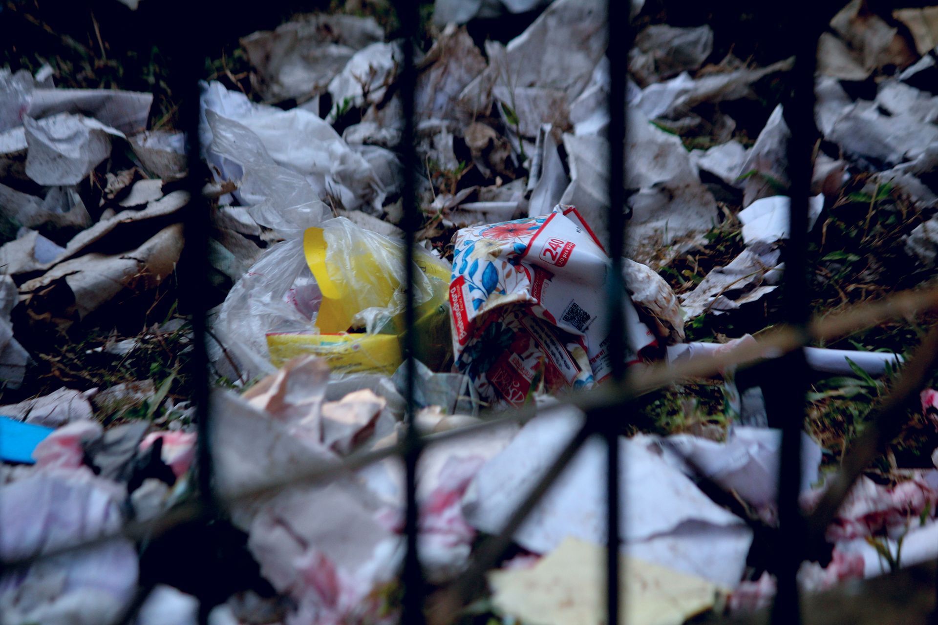 Local Property Clearing and Trash Disposal in Bowie, Maryland