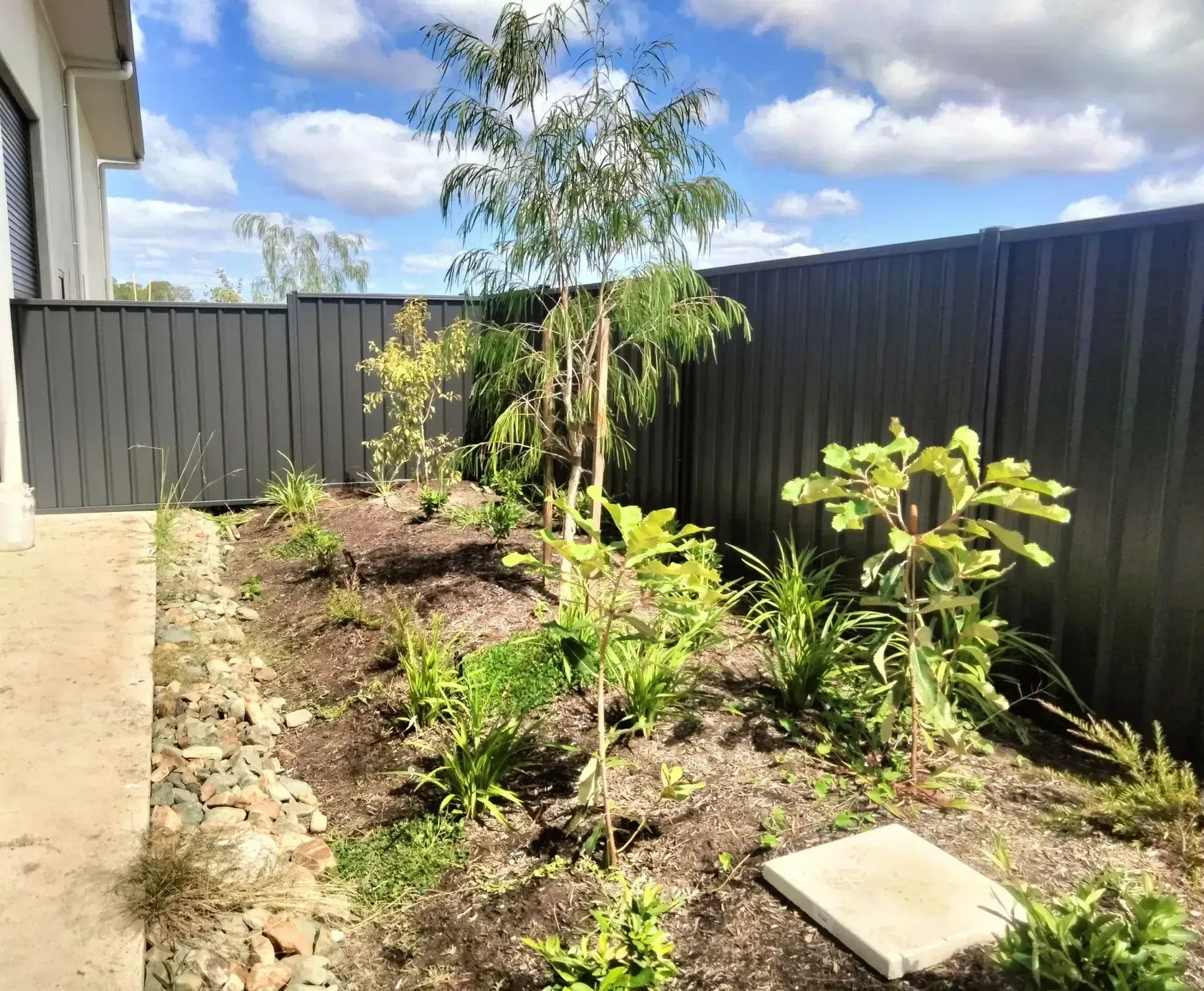 A Colorbond Fence Surrounding Backyard Garden — Tuff Fencing in Caboolture, QLD