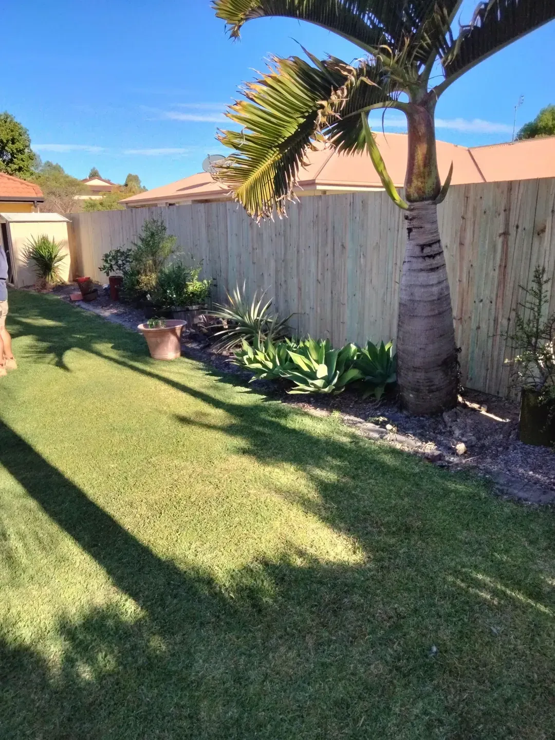 A Brown Fence is Surrounded by Trees and Grass in Front of a House — Tuff Fencing in Caboolture, QLD