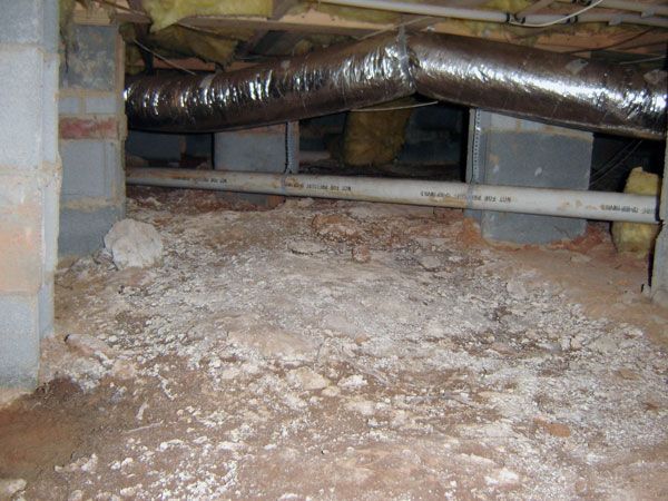 CS Insulation
