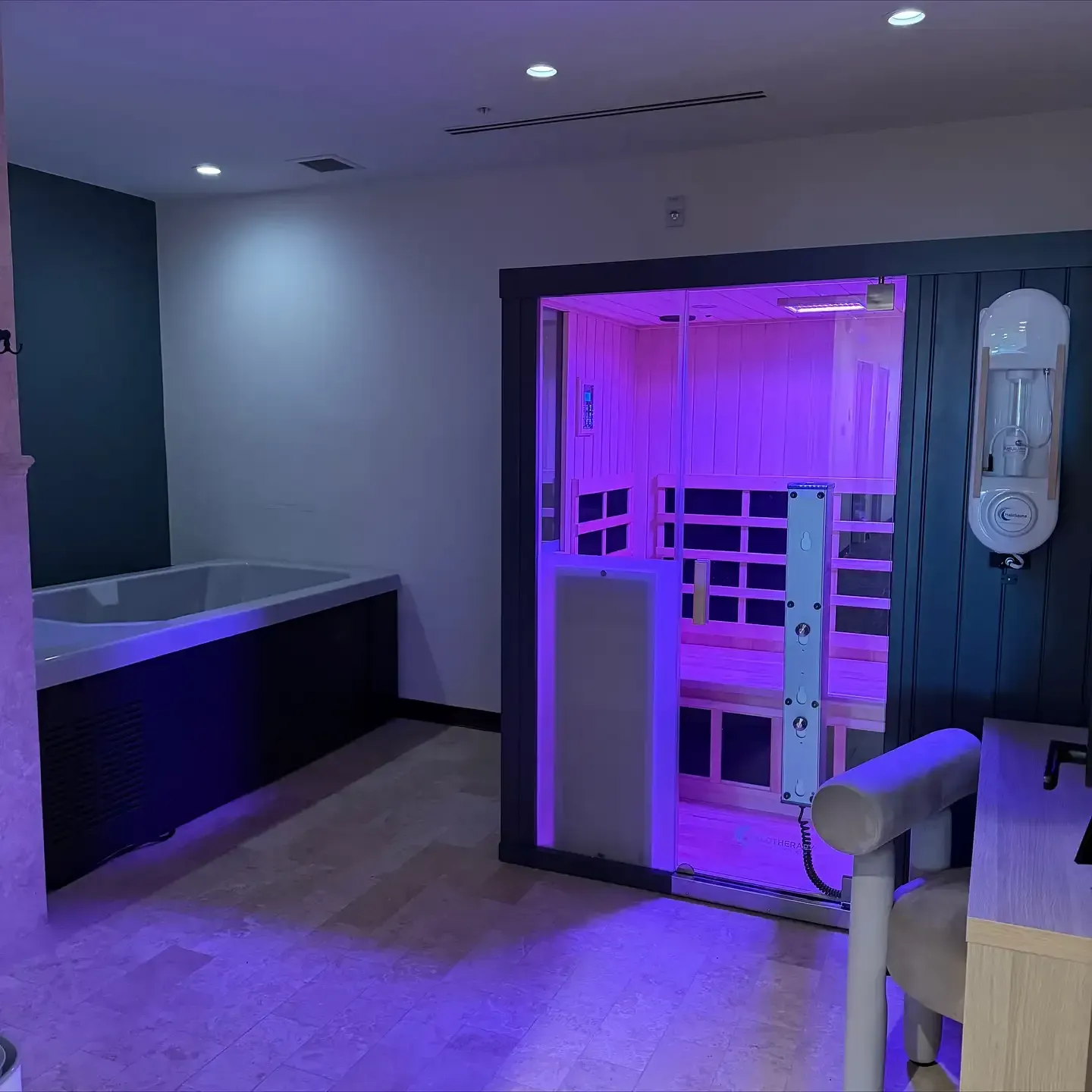 Wellness spa room with infrared sauna and cold plunge at Elemental Escape