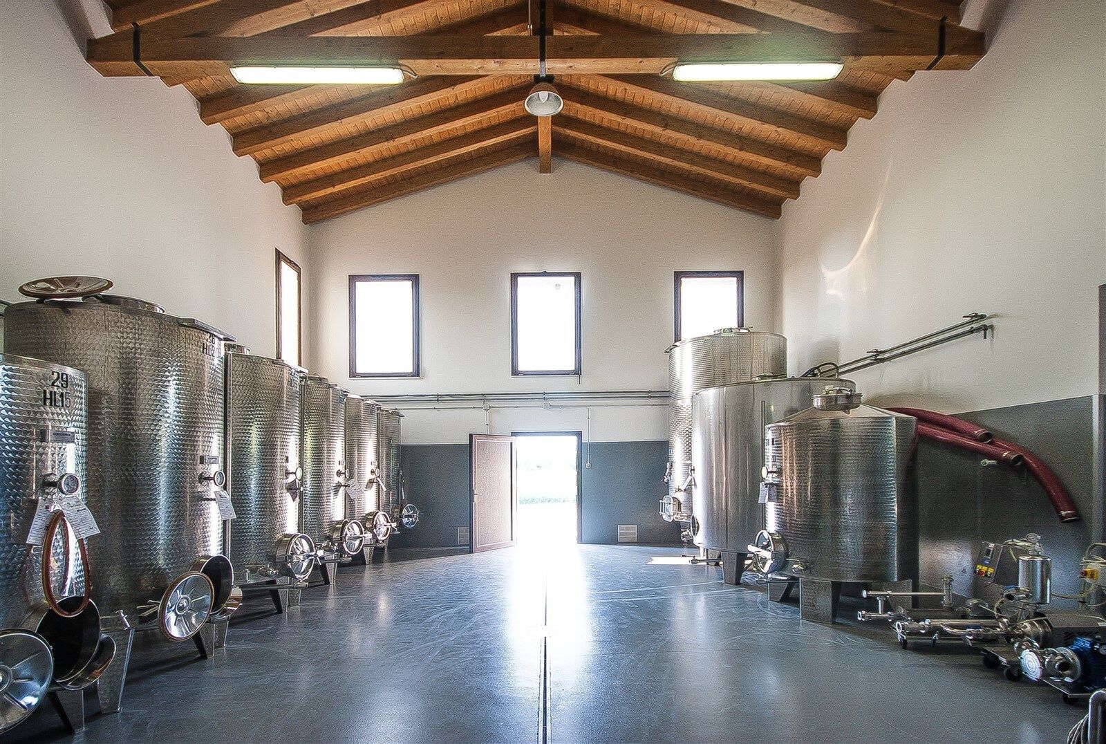 Cantina vinicola con file di serbatoi in acciaio inox e grandi travi di legno sul soffitto