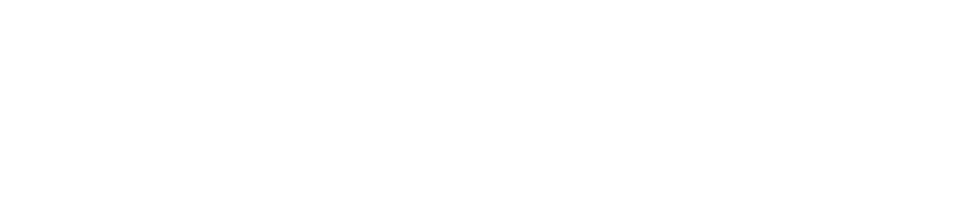 CODE313 logo, all-white (one color) version
