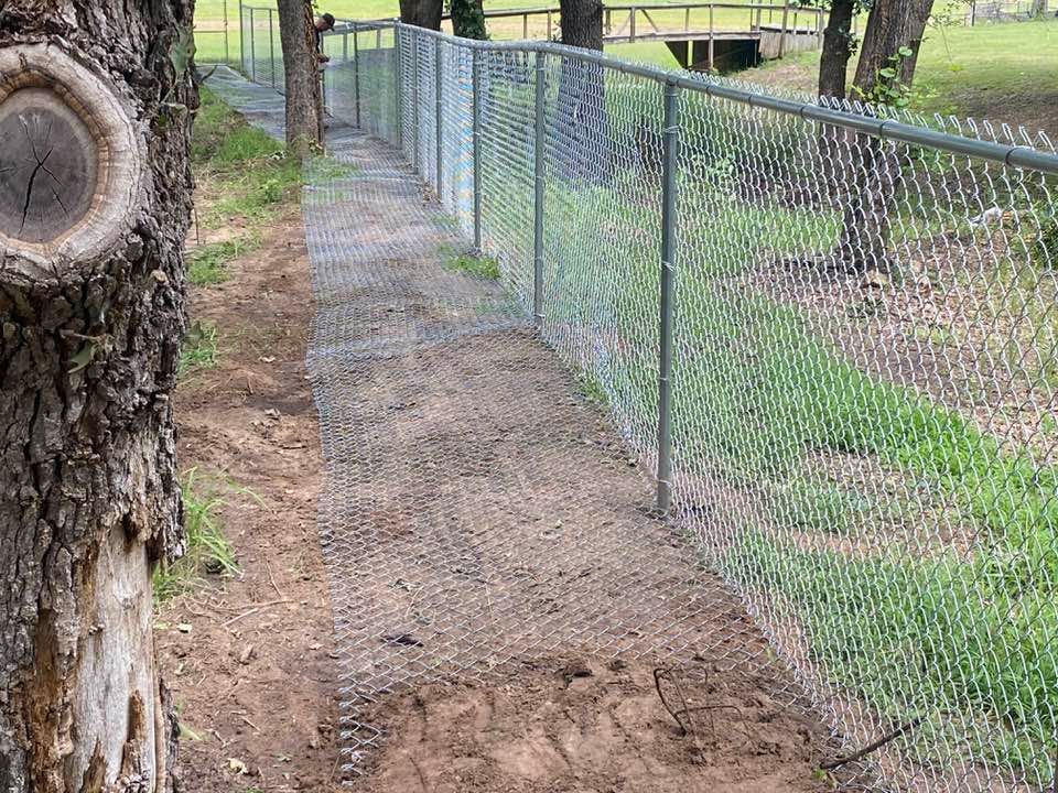 A chain link fence surrounds a dirt path between two trees.