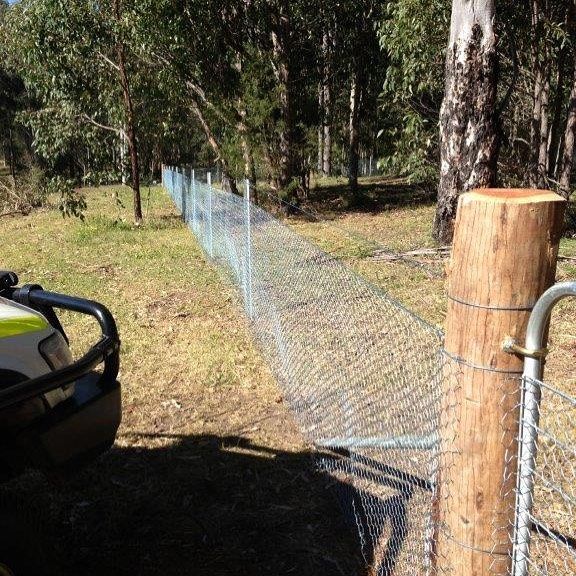 Dirt driveway leading to a wooden gate in a sunny rural field with hills and a tree under a blue sky