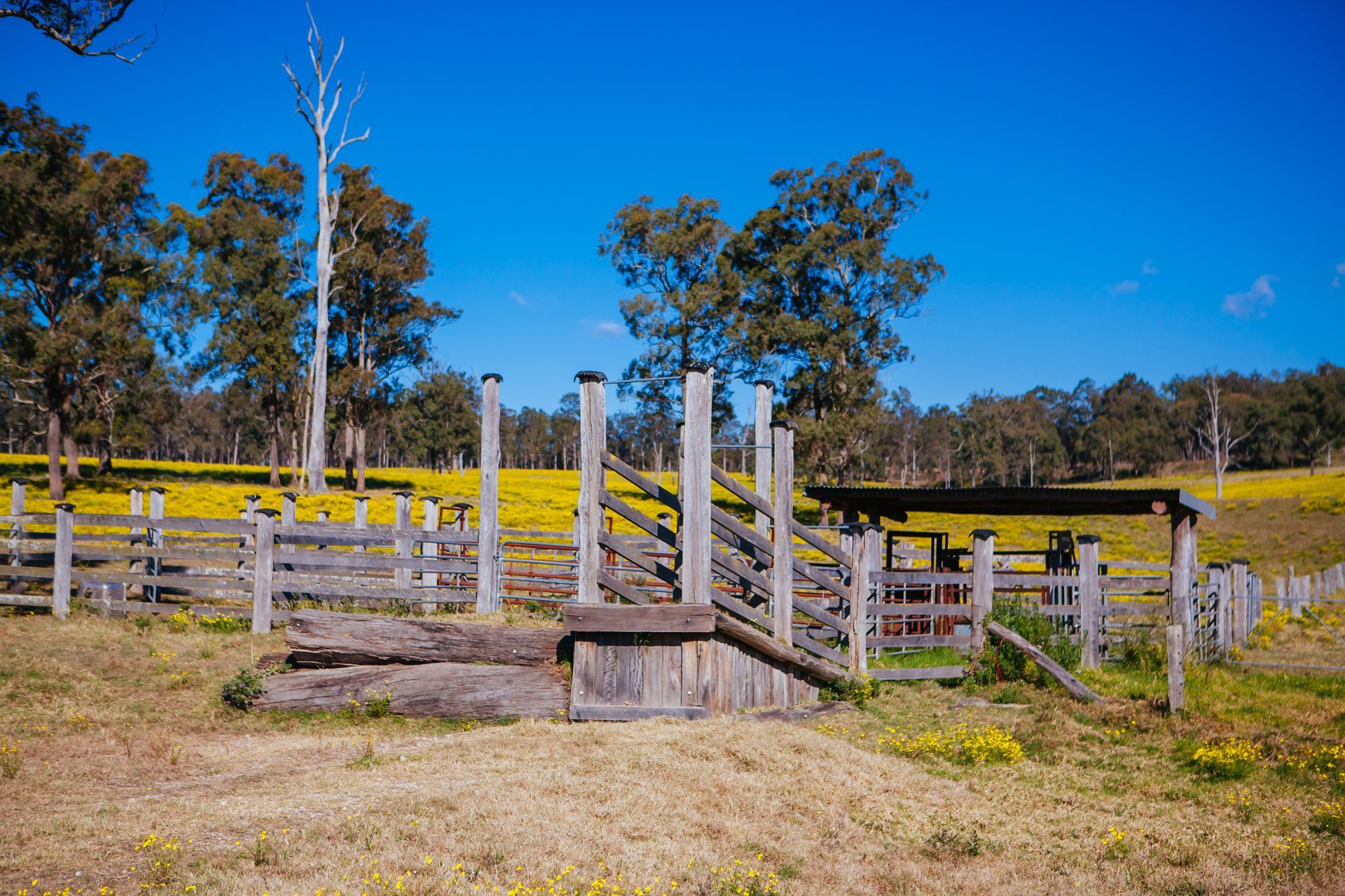 Rural wooden corral with white fence posts and a weathered gate under a clear blue sky