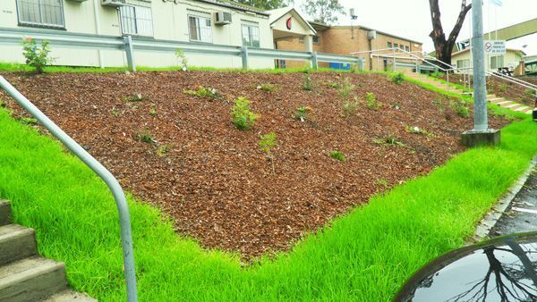 Mulched sloped garden bed bordered by bright green grass and metal railings near houses