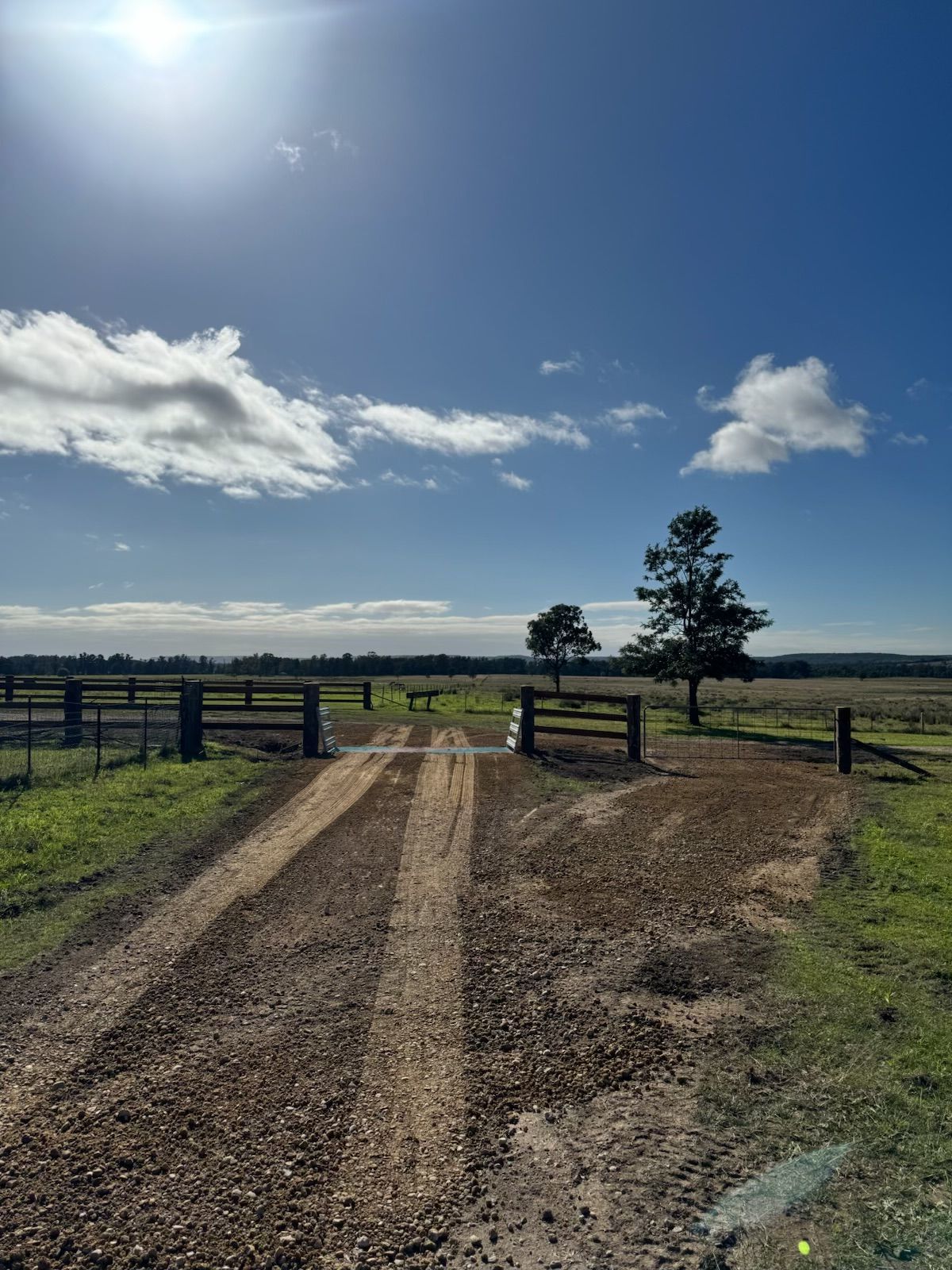 Dirt driveway leading to a fenced pasture under a bright blue sky with clouds and a lone tree.