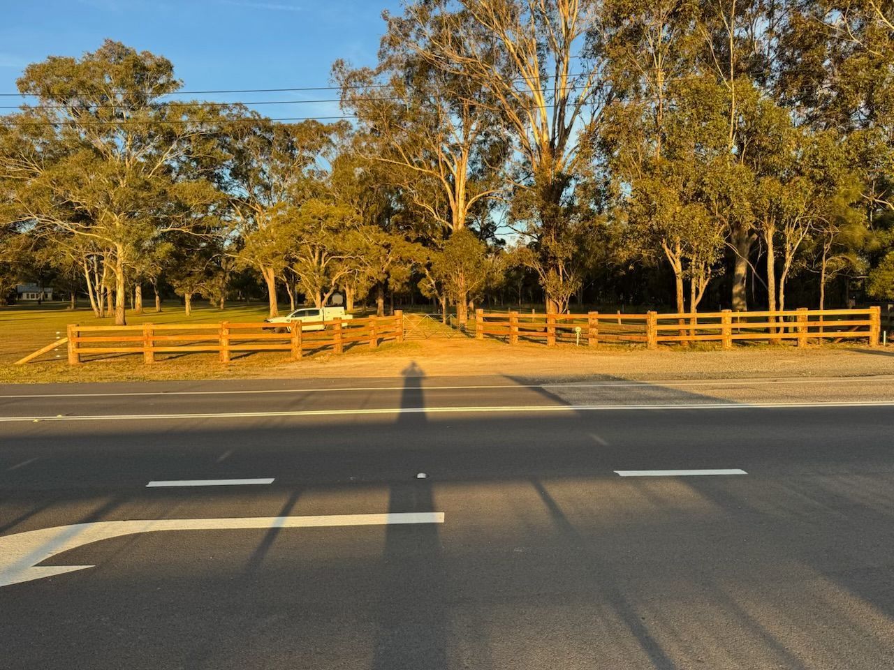 Sunlit road with wooden fence, trees, and clear sky across the street