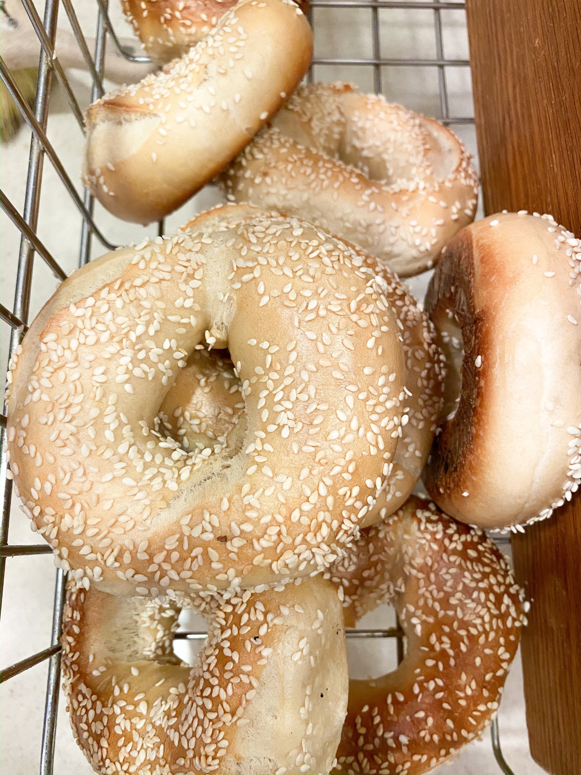 The Best Bagels in Columbia, MO B&B Bagel Company