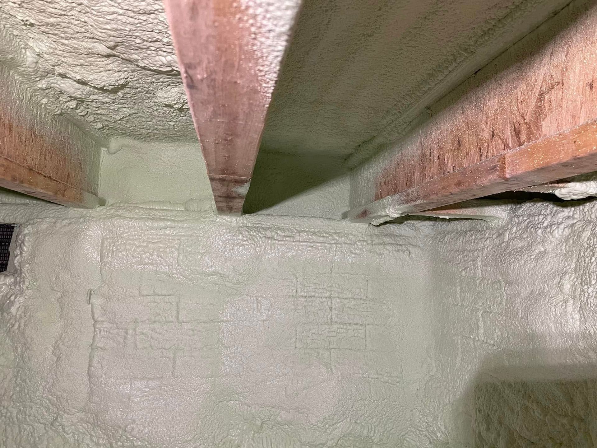 Close-up of a concrete pit with green and pink walls and a white floor