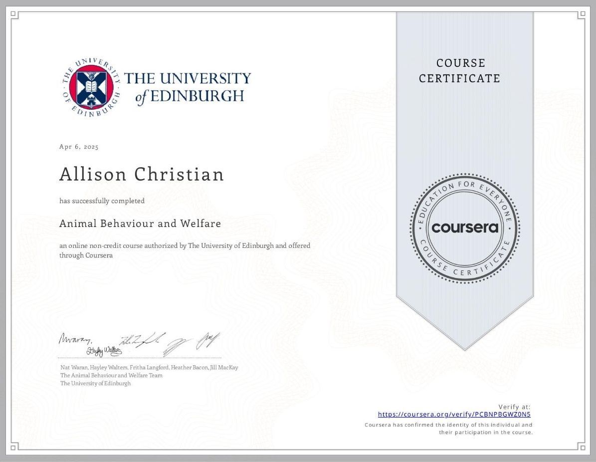 A Coursera course certificate from The University of Edinburgh issued to Allison Christian for Animal Behaviour and Welfare.