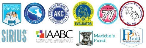 Naples Top Dogs Certifications
