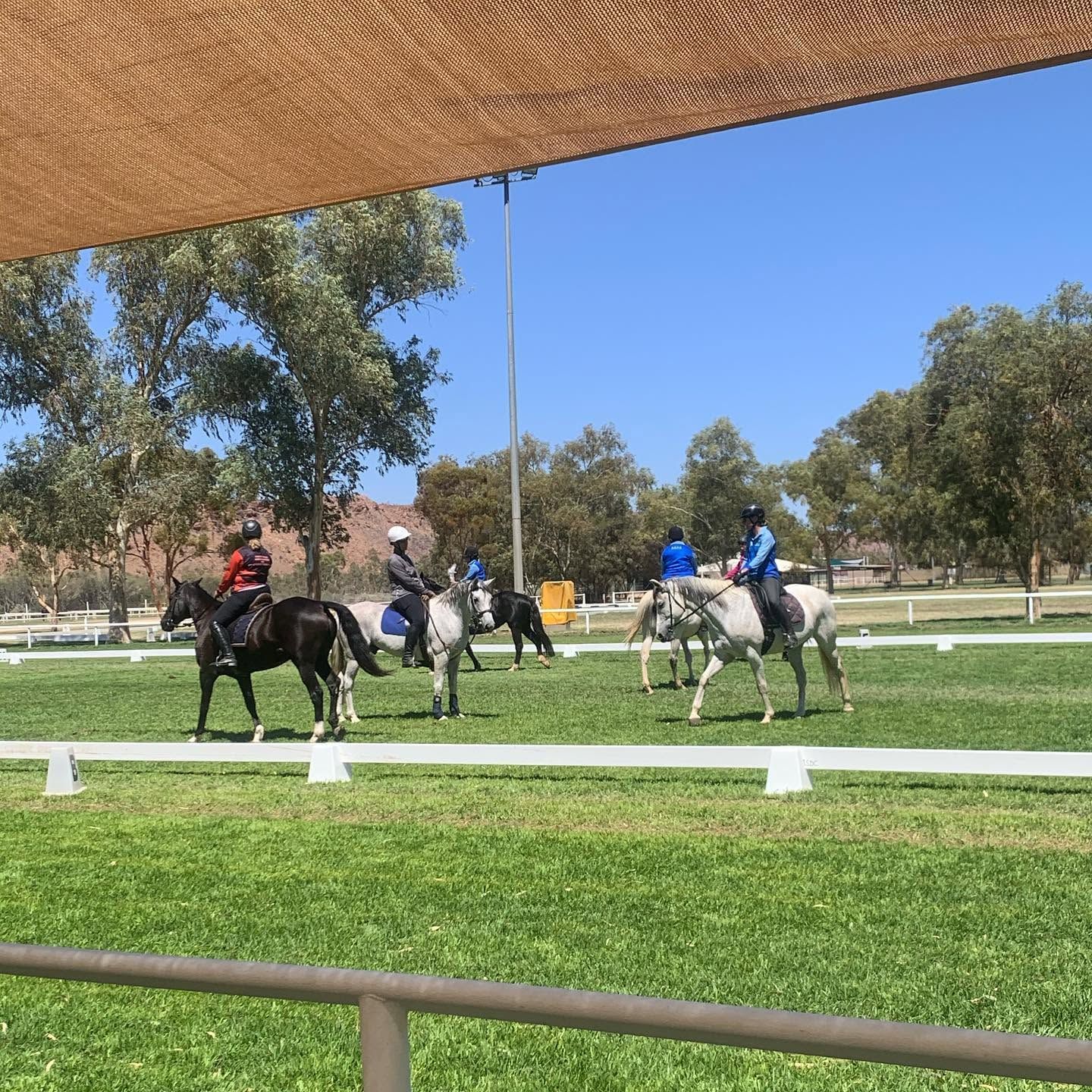 Several Riders on Horses in A Sunny Outdoor Equestrian Arena with White Railings and Trees — Blatherskite Park in Ilparpa, NT