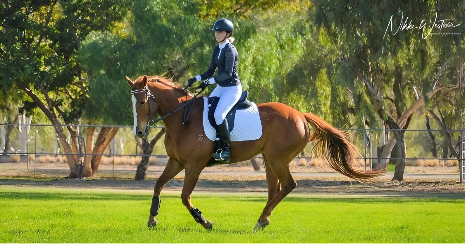 Rider on A Chestnut Horse Trotting Across a Grassy Field with Trees — Blatherskite Park in Ilparpa, NT